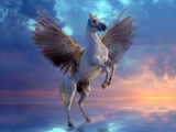 Mystical Pegasus
