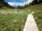 Bagley Lakes Trail, Mount Baker Wilderness, Washington