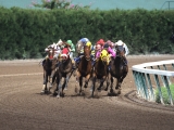 Fight to the Finish, Gulfstream Park, Florida