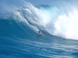 Surfing Jaws, Maui, Hawaii