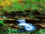 Ricketts Glen State Park, Pennsylvania