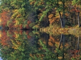 Autumn Reflections