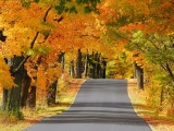 The Road Less Traveled, Door County, Wisconsin