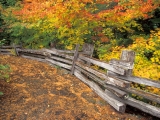 Split-Rail, Mount Rainier National Park, Washington