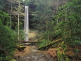 Yahoo Falls, Daniel Boone National Forest, Kentucky