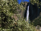 Upper Yosemite Falls in Spring, Yosemite National Park, California