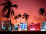 Neon Nightlife, South Beach, Miami, Florida