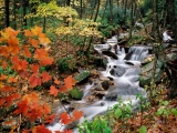 Grandfather Mountain, North Carolina