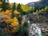 Roaring Fork River, White River National Forest, Colorado