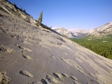 Glaciated Slopes, Yosemite, California