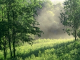 Morning Meadow, Edwin Warner Park, Nashville, Tennessee