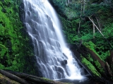 University Falls, Tillamook State Forest, Oregon