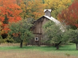 Rustic Barn, Leelanau County, Michigan