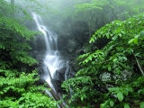 Lower Doyles River Falls, Shenandoah National Park, Virginia