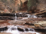 Left Fork of North Creek, Zion National Park, Utah