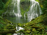 Proxy Falls, Three Sisters Wilderness, Oregon