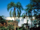 Iguassu Falls, Argentina