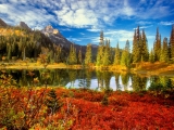 Fall in the Tatoosh Wilderness, Mount Rainier National Park, Washington