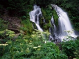 Cascading Waterfall, Umpqua National Forest, Oregon