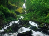 Wahkeena Falls, Columbia River Gorge, Oregon