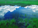 Pond Reflections, Lamar Valley, Yellowstone National Park, Wyoming