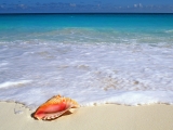 Beachside Treasure, Yucatan Peninsula, Mexico