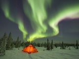 Camping Under the Northern Lights, Boreal Forest, Canada