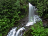 Ethereal Waters, Mount Rainier, Washington