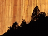 Zion National Park, Utah