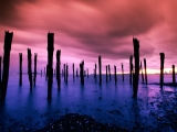 Dock Pilings, Boston Harbor, Massachusetts