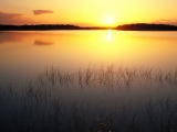 Everglades National Park at Sunrise, Florida