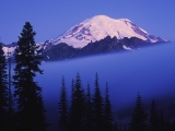 Rising Through the Fog, Mount Rainier, Washington