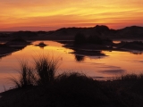 Wetland and Sand Dunes at Sunset, Wadden Islands, Holland, The Netherlands