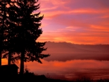 Living Waters, Hood Canal, Washington