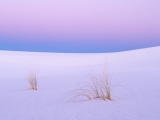 Tranquility, White Sands, New Mexico