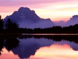 Velvet Finish, Oxbow Bend, Wyoming