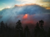 Foggy Sunrise From Clingmans Dome, Great Smoky Mountains, Tennessee