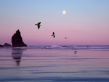 Cannon Beach, Oregon