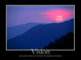 Vision