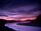 Madison River, Yellowstone National Park, Wyoming