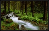 Tatra mountains