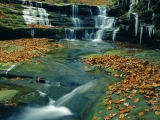 Waterfall Near LaSalle Canyon, Starved Rock State Park, Illinois