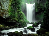 Falls Creek Falls, Gifford Pinchot National Forest, Washington