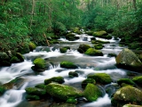 Roaring Fork River, Great Smoky Mountains, Tennessee