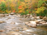 Swift River and Autumn Colors, White Mountains National Forest, New Hampshire