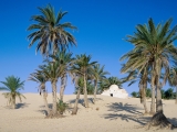 Near Douz, Sahara Desert, Tunisia