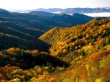 Deep Creek Valley, Great Smoky Mountains National Park, Tennessee