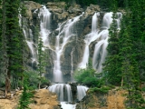 Tangle Creek Falls, Jasper National Park, Canada