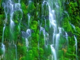 Mossbrae Falls, California