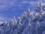 Newfound Gap, Great Smoky Mountains National Park